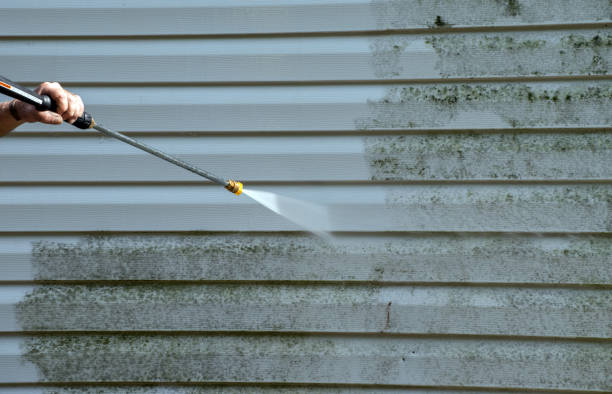 Best Sidewalk and Walkway Cleaning  in Kosciusko, MS